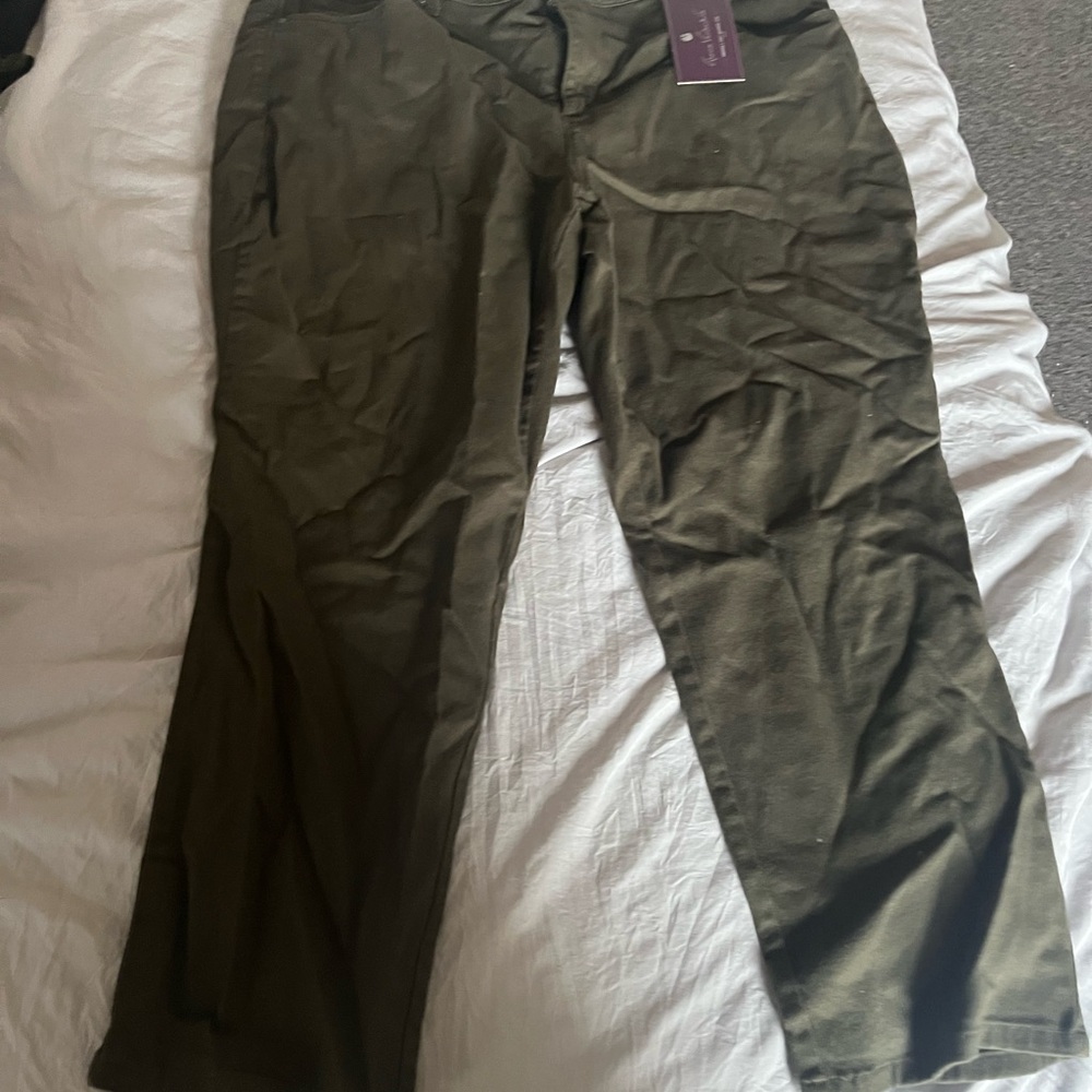 Olive Green Pants plus size 20w short
